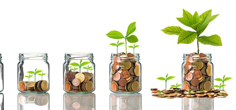 Plants growing from increasingly full jars of coins.