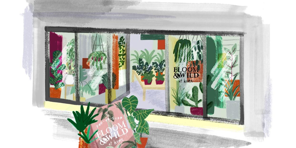 bloom and wild to open popup shops