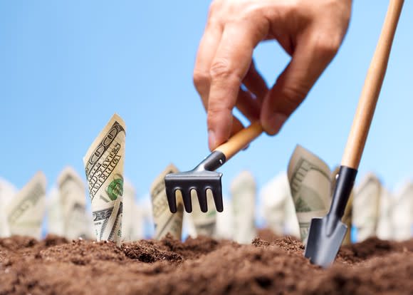 Planting hundred dollar bills in the ground.