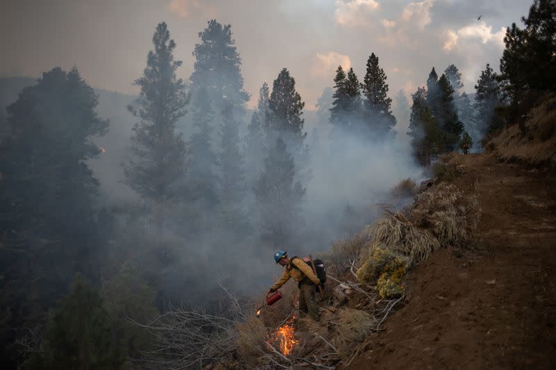 Firefighter takes part in firing operation on sidelines of Brattain Fire in Fremont National Forest in Paisley, Oregon