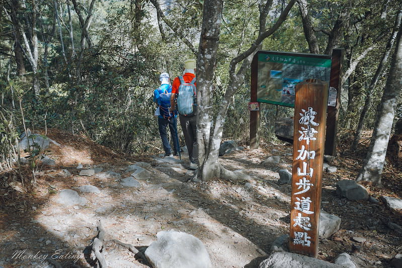 谷關七雄｜波津加山