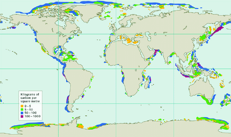 World map with shaded areas near coasts