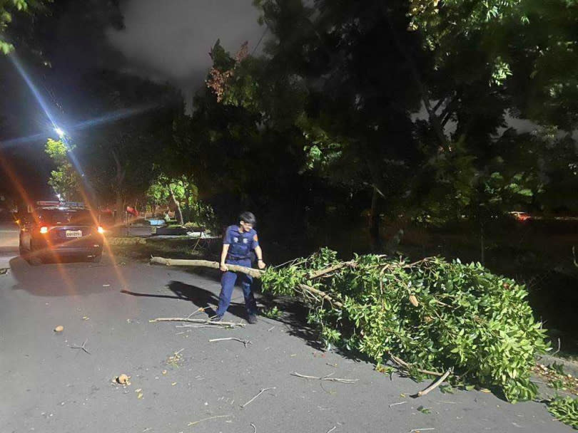 彰化縣多處路樹坍塌、折枝，警方凌晨獲報赴現場協助清理。（圖／警方提供,中國時報孫英哲彰化傳真）