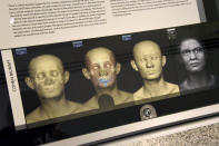 Detail of the facial depiction process for the Cohen mummy at the new Johns Hopkins Archaeological Museum exhibit, "Who Am I? Remembering the Dead Through Facial Reconstruction." FaceLab, Liverpool John Moores University, worked with Hopkins to create facial depictions of the Goucher mummy, ca. 4th c. BCE, and the Cohen mummy, ca. 664 - 525 BCE. (Amy Davis/The Baltimore Sun via AP)