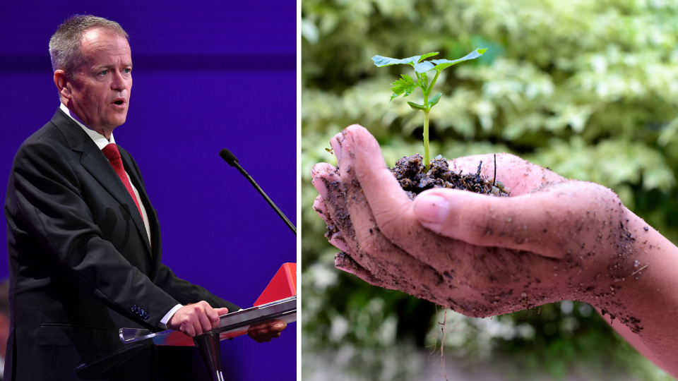 Bill Shorten speaks at the ALP conference. Images: Getty