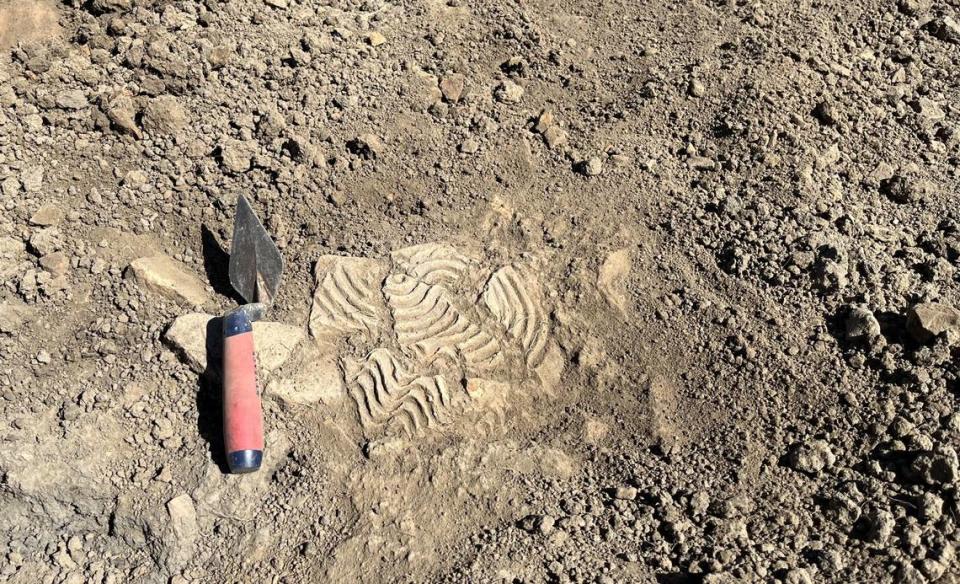 A brick fragment found at the ancient Roman settlement in Smallhythe. Photo from Nathalie Cohen and National Trust