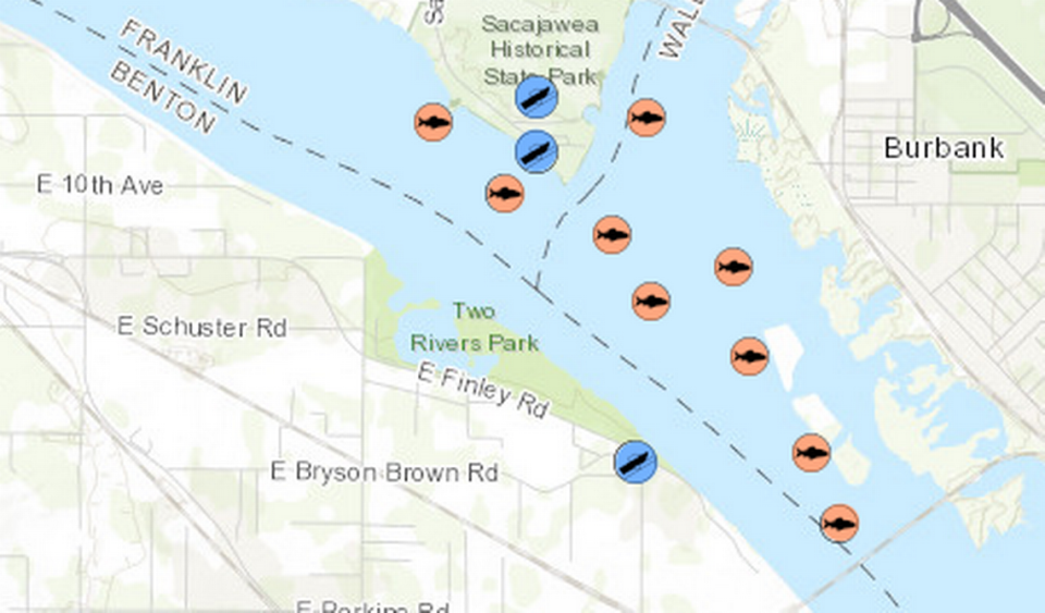 The fish in orange circles on this map show areas that have historically been good for catching northern pikeminnow near the confluence of the Snake and Columbia rivers.