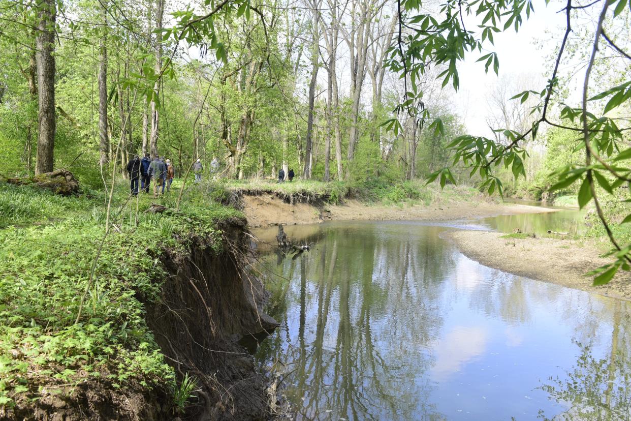The steep, bare banks with exposed roots are considered a sign that the Black Fork River is not flowing as smoothly as it could.