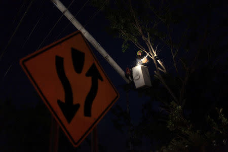 A worker of Puerto Rico's Electric Power Authority (PREPA) cuts branches of a tree while repairing part of the power grid after Hurricane Maria hit the area in September, in Manati, Puerto Rico October 30, 2017. REUTERS/Alvin Baez