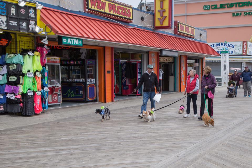 The Worcester County Humane Society had it’s 16th Annual Boardwalkin’ for Pets with over 300 dogs walking to raise money for the shelter.