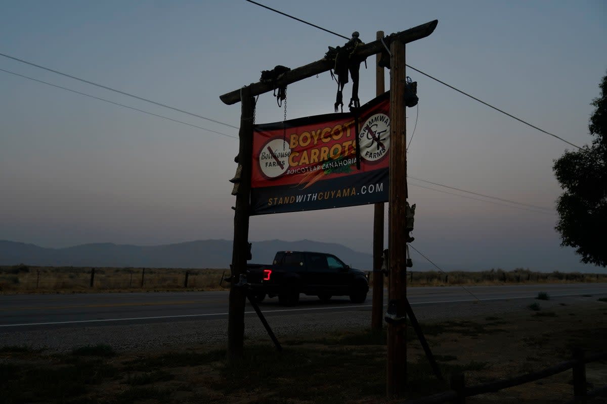 Boycott signs erected in the Cuyama Valley  (Copyright 2023 The Associated Press. All rights reserved)