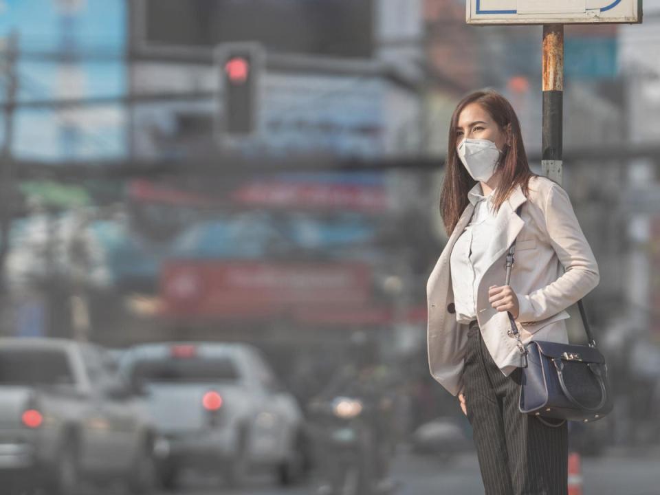 Air pollution linked to fertility issues in women: Exposure to air from traffic-clogged streets could leave women with fewer years to have children, a study has found. Italian researchers found women living in the most polluted areas were three times more likely to show signs they were running low on eggs than those who lived in cleaner surroundings, potentially triggering an earlier menopause (Getty/iStock)