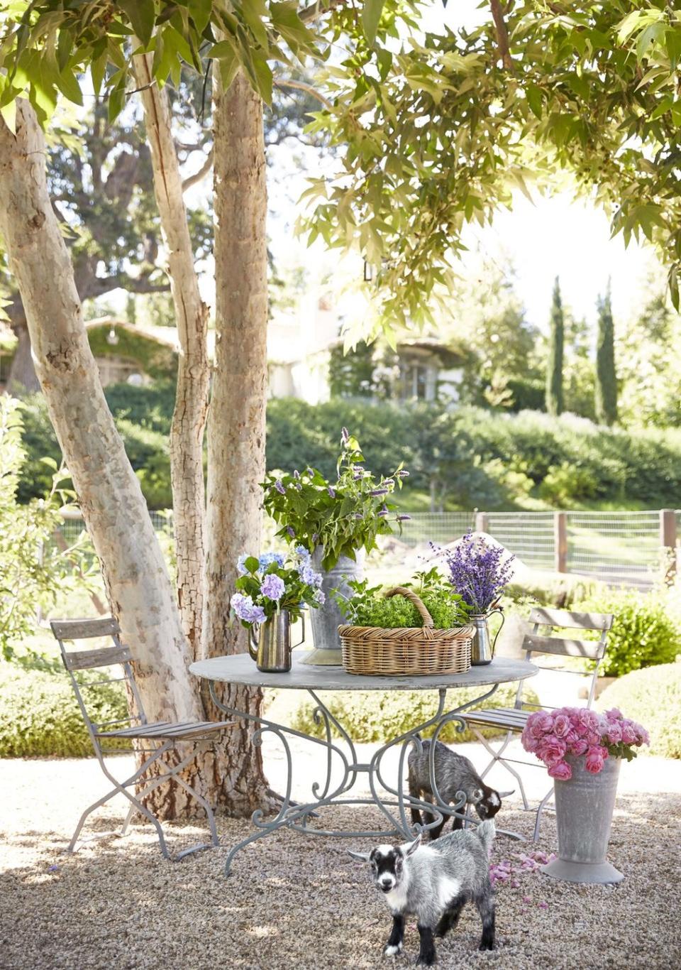 <p>Adding seating to your yard opens you up to a world of possibilities: You can dine alfresco, you've got a great new spot to crack open a new book, and so much more. Laying down gravel or pebbles is a good place to start; next, add a table and chairs.</p><p><a class="link " href="https://www.amazon.com/s?k=outdoor+table&ref=nb_sb_noss_2&tag=syn-yahoo-20&ascsubtag=%5Bartid%7C10050.g.1432%5Bsrc%7Cyahoo-us" rel="nofollow noopener" target="_blank" data-ylk="slk:SHOP OUTDOOR TABLES;elm:context_link;itc:0;sec:content-canvas">SHOP OUTDOOR TABLES</a></p>