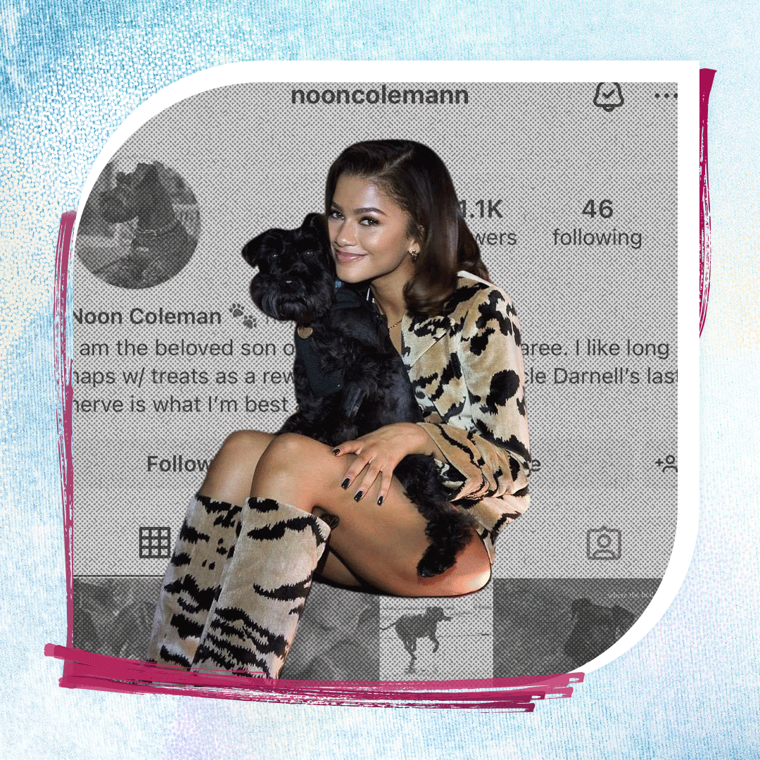  Zendaya dog noon coleman investigation graphics. 