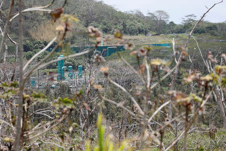 Puna Geothermal Venture is seen near a lava field from the Kilauea Volcano in the Leilani Estates near Pahoa, Hawaii, U.S., May 24, 2018. REUTERS/Marco Garcia