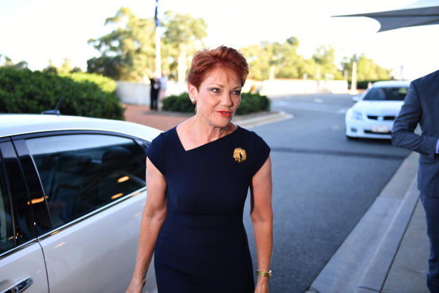 One Nation Senator Pauline Hanson outside Parliament last month. The party insists it ‘strongly supports the rights of lawful gun ownership’. Source: AAP