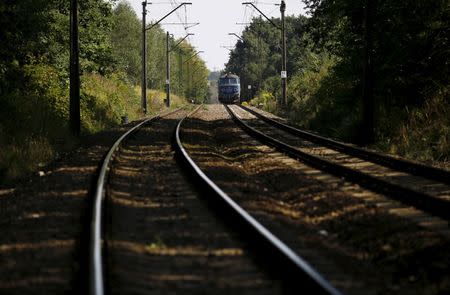 A train travels in an area where a Nazi train is believed to be, in Walbrzych, southwestern Poland August 30, 2015. REUTERS/Kacper Pempel