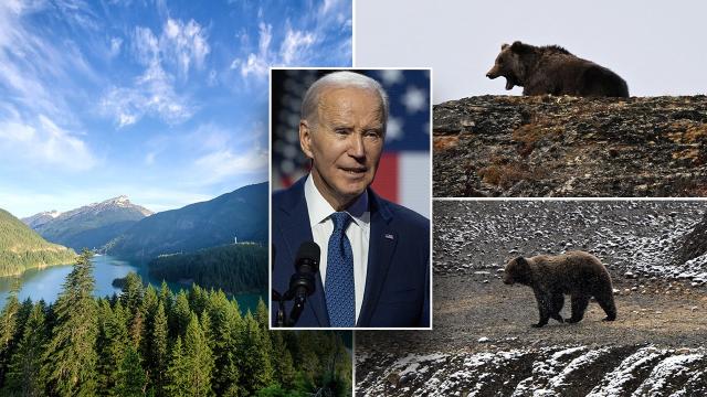 Feds identify preferred plan to reintroduce grizzly bears in North