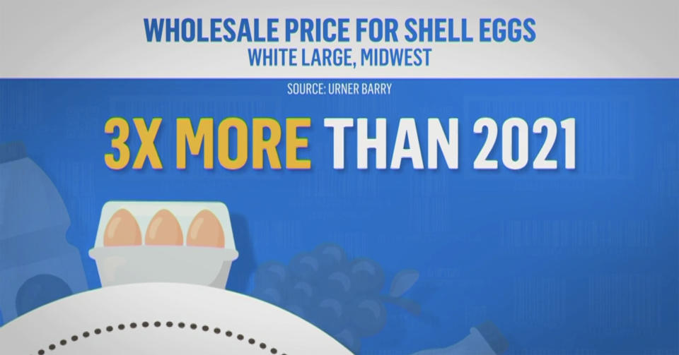 The prices of eggs has jumped dramatically in the past year, due in part to an avian flu forcing farmers to kill millions of birds. (TODAY)