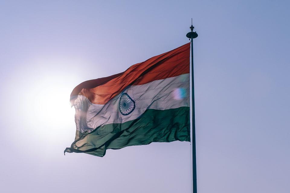 8. The Indian flag