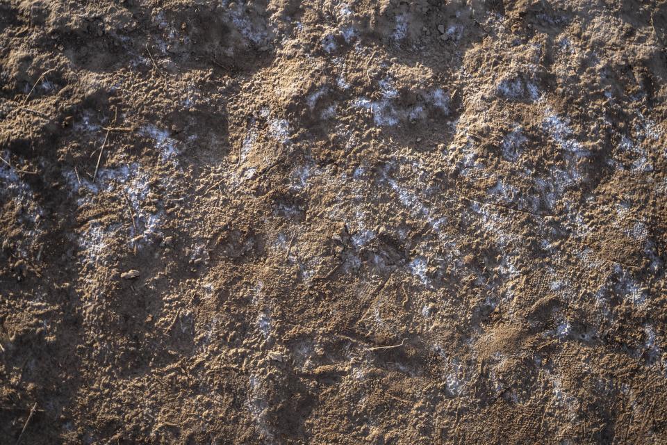 Salt buildup is visible on the bank of the Moulouya River in Nador, Morocco, Friday, March 8, 2024. Where the river once flowed from the mountains into the Mediterranean, it now sits stagnant, allowing seawater to creep inland and turning water from a source of life to a deadly poison. (AP Photo/Mosa'ab Elshamy)