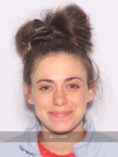 Raychel Sheridan, 24, of Orchard Dale Drive NW in Plain Township has not been seen since Saturday, Stark County Sheriff George Maier said on Tuesday. Deputies are trying to find her after her boyfriend who was driving her vehicle fled from them on foot.
