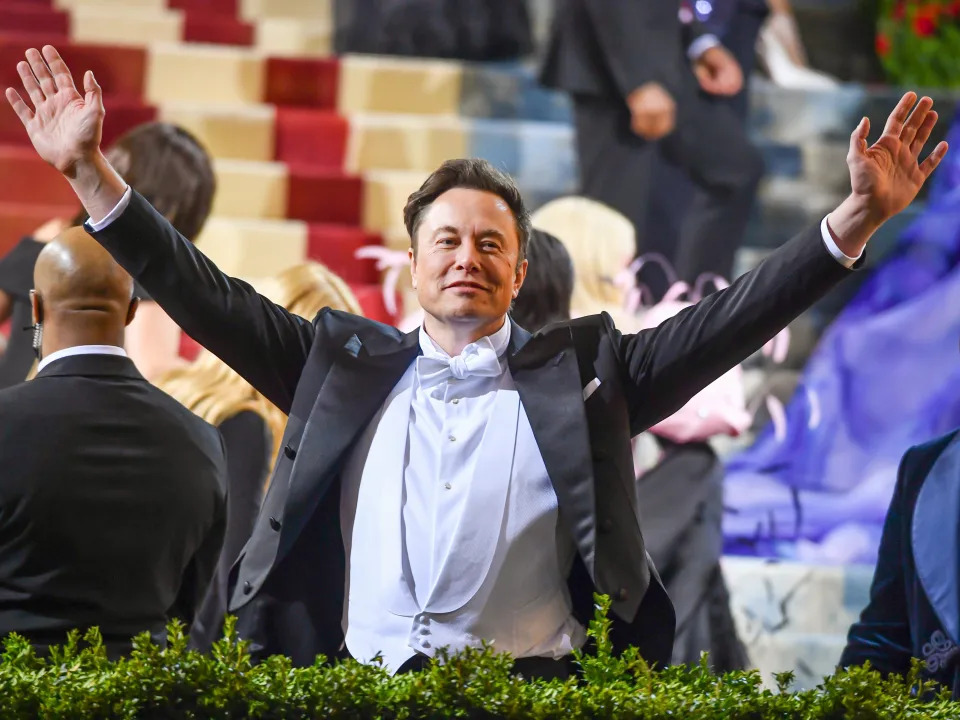 Elon Musk with his arms outstretched gratuitously