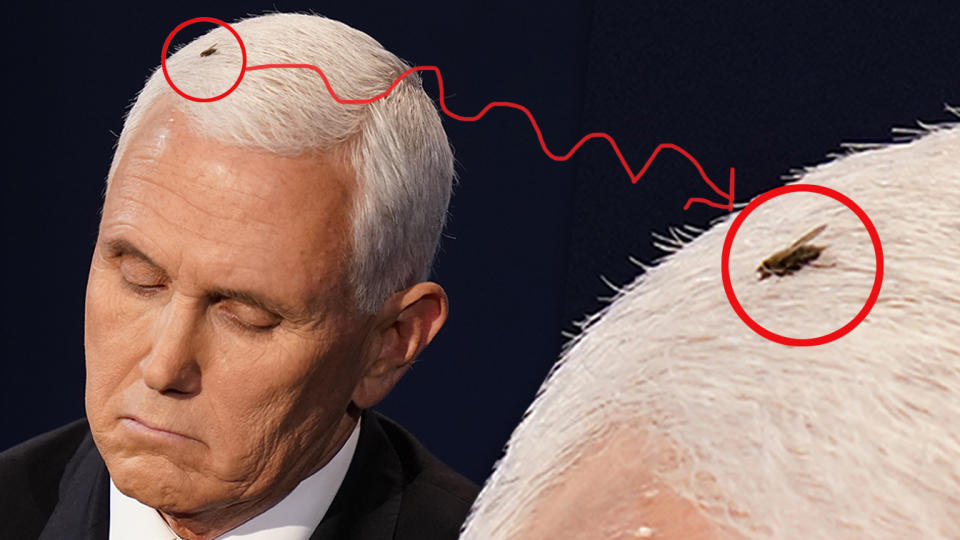 Vice President Mike Pence listens to Democratic vice presidential candidate Sen. Kamala Harris with a fly on his head, during the vice presidential debate Wednesday, Oct. 7, 2020, at Kingsbury Hall on the campus of the University of Utah in Salt Lake City. (Photo illustration: Yahoo News; photos: Patrick Semansky/AP)