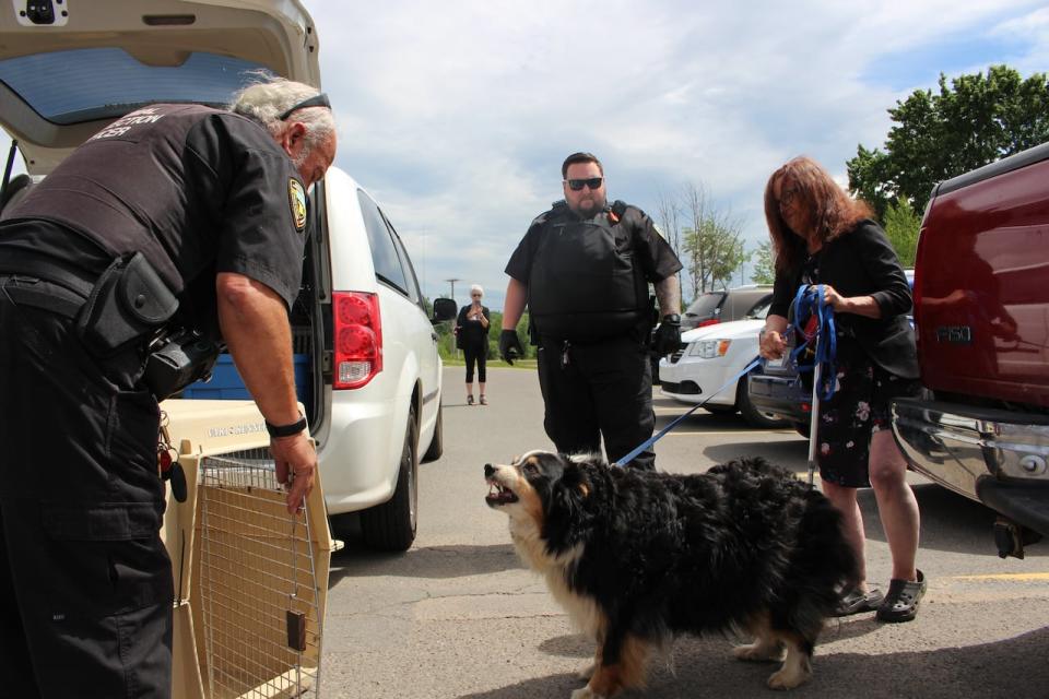 New Brunswick SPCA officers seized Charlotte Bright's dog after part of a judge's sentence included that she never possess any animal again in her life.