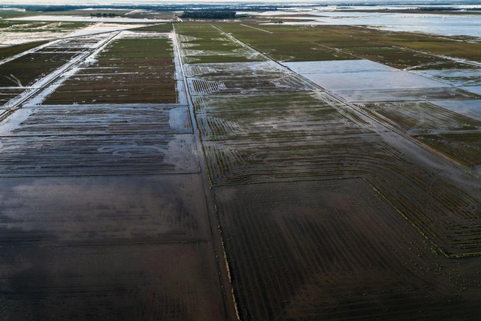 <span>Aerial view of flooded rice plantations in Eldorado do Sul, Rio Grande do Sul state, Brazil, taken on May 9, 2024</span><div><span>Nelson ALMEIDA</span><span>AFP</span></div>