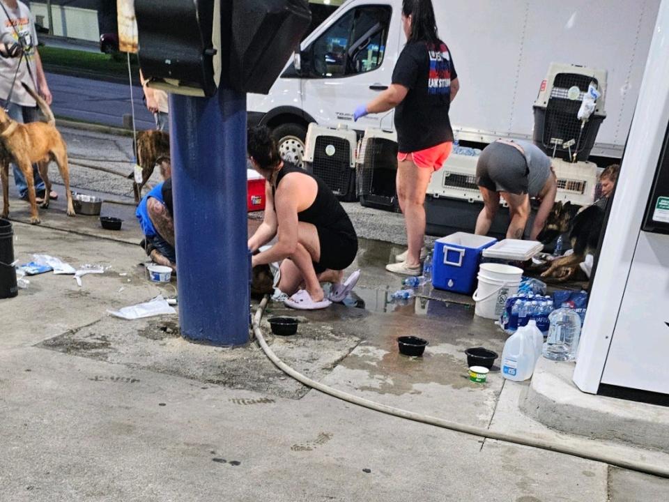 People frantically treated the dogs at a gas station.