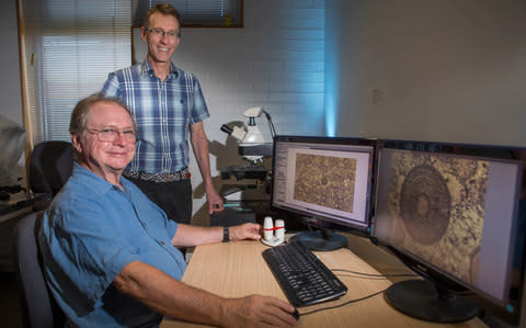 Researchers Dr Bob Burne and Professor Murray Batchelor from the ANU with a microscope showing the details of an triassic period ooid - Credit:  Lannon Harley