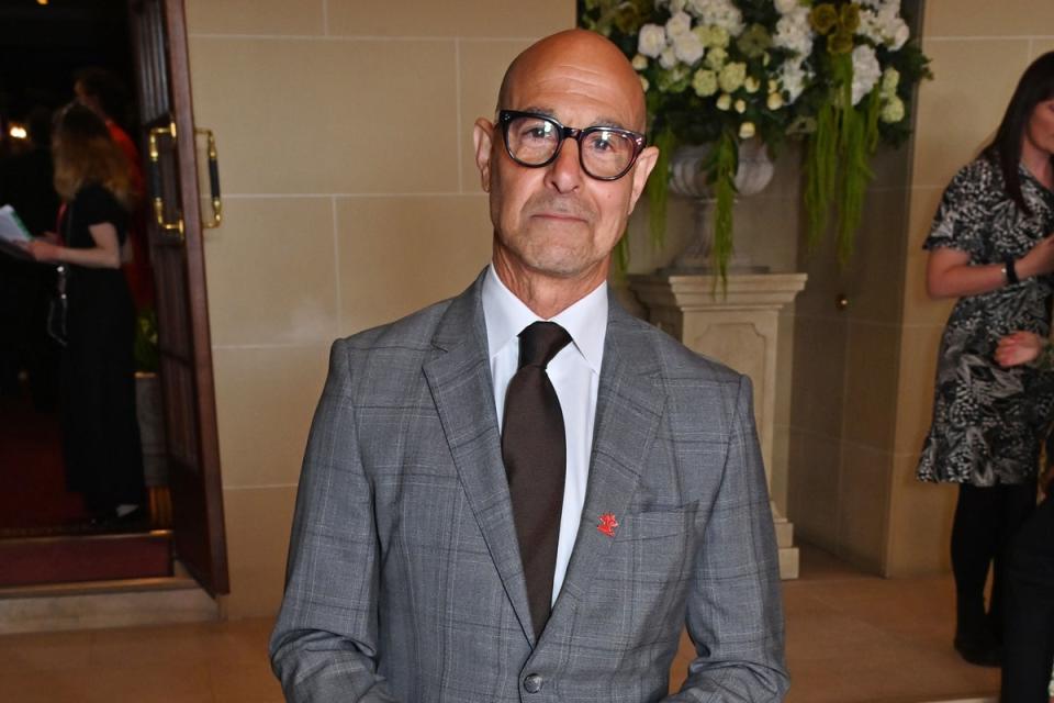 Tucci praised his other half for ‘taking on a widower and three children’ (Dave Benett)