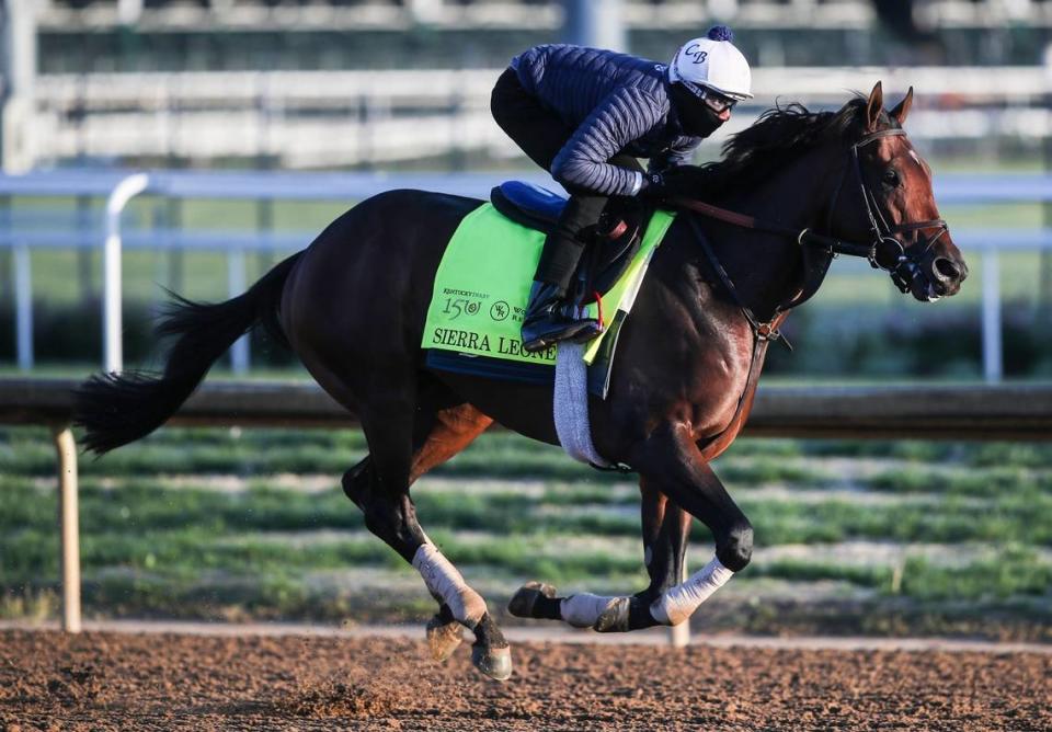 Sierra Leone, a favorite for the 150th Kentucky Derby, works Monday morning at Churchill Downs in Louisville, Ky on April 21, 2024.