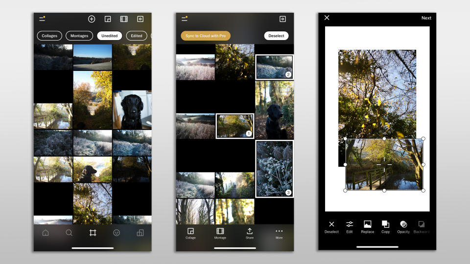 Three screenshots in the Studio section of the VSCO app
