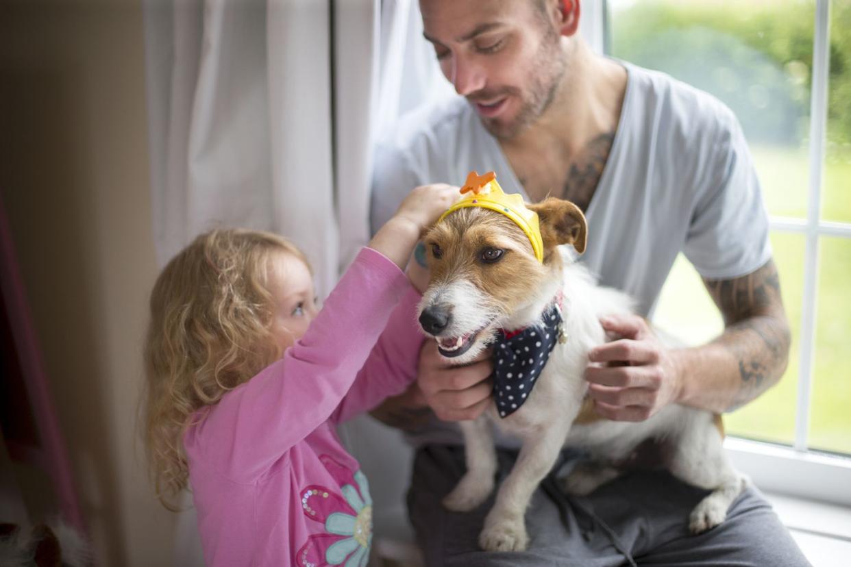 father and daughter playing together the little girl puts a crown on their pet dog while sat on the mans knee