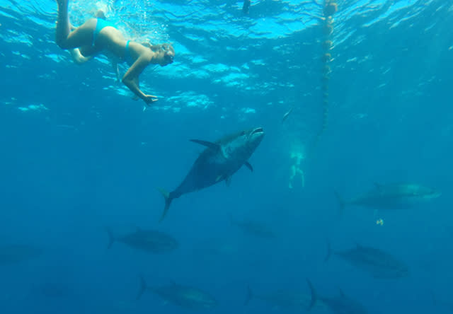 Girl swimming with tuna in Costa Dorada