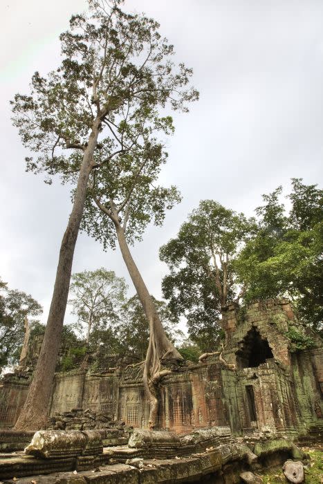 Angkor Archaelogical Park, Siem Reap, Cambodia