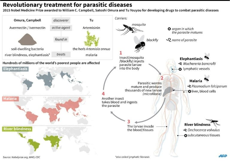 Graphic explaining the work that won three scientists the Nobel Prize for Medicine