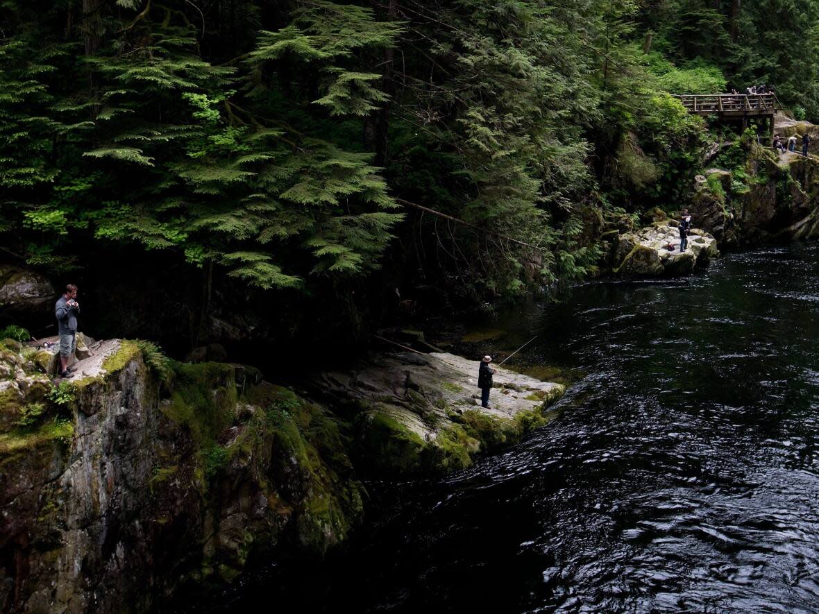 People fish along the Capilano River, downstream from the Cleveland Dam, in North Vancouver, B.C., on June 8, 2013. The public has been asked to stay out of the river following a sewage spill that lasted for days. (Darryl Dyck/The Canadian Press - image credit)