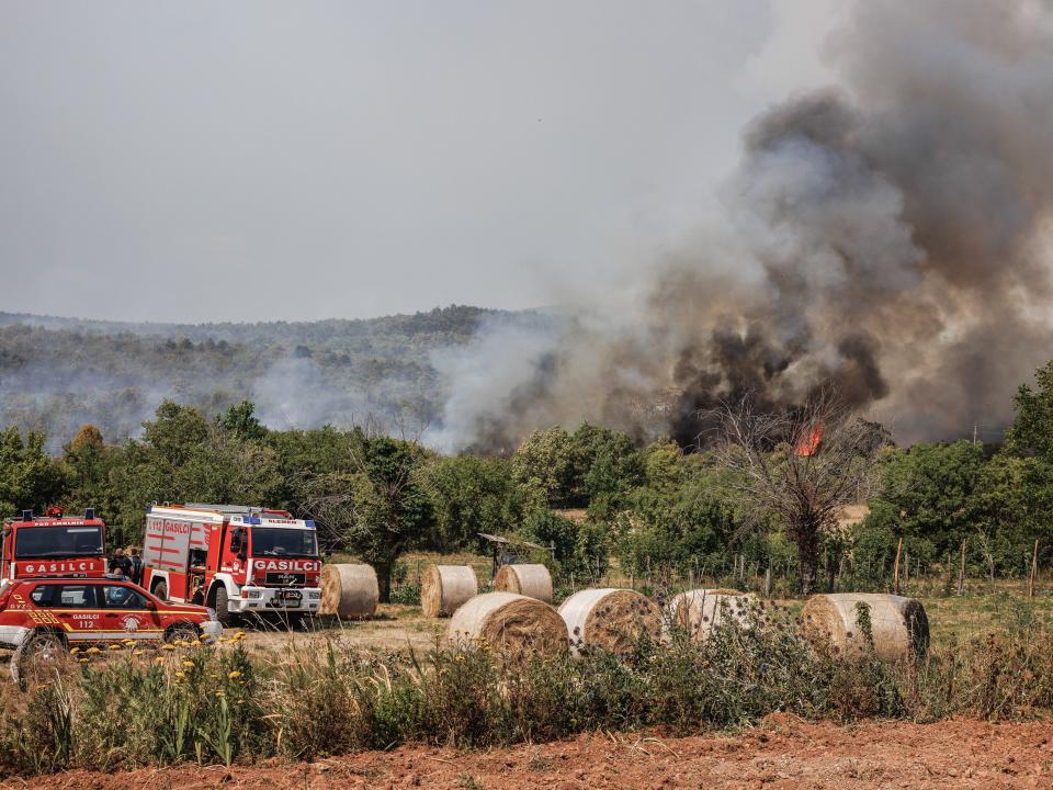 A large wildfire burns near the village of Novelo in the Karst region of Slovenia.