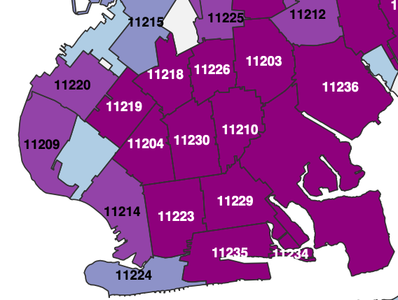 Zip Code Map Brooklyn Borough Park Tops Brooklyn Coronavirus Cases, New Data Shows