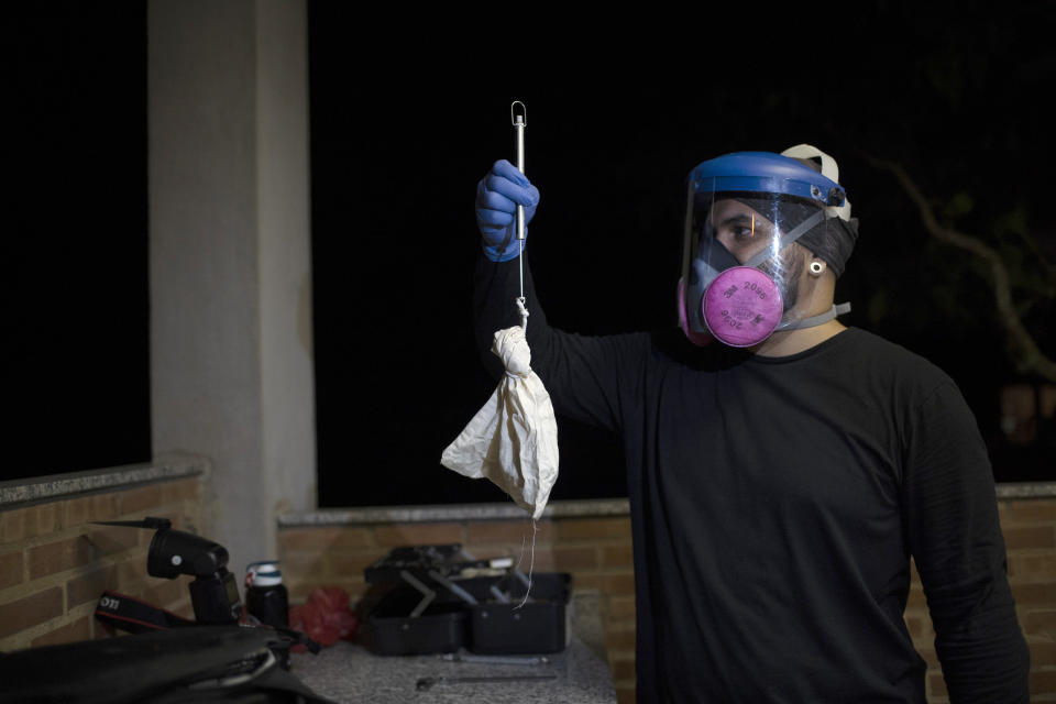 A researcher for Brazil's state-run Fiocruz Institute weighs a bat, contained in a cloth bag, that was captured in the Atlantic Forest at Pedra Branca state park, near Rio de Janeiro, Tuesday, Nov. 17, 2020. Bats are thought to be the original or intermediary hosts for multiple viruses that have spawned recent epidemics, including COVID-19, SARS, MERS, Ebola, Nipah virus, Hendra virus and Marburg virus. (AP Photo/Silvia Izquierdo)