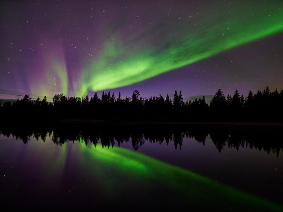 northern lights over a silhouette of trees on a lake