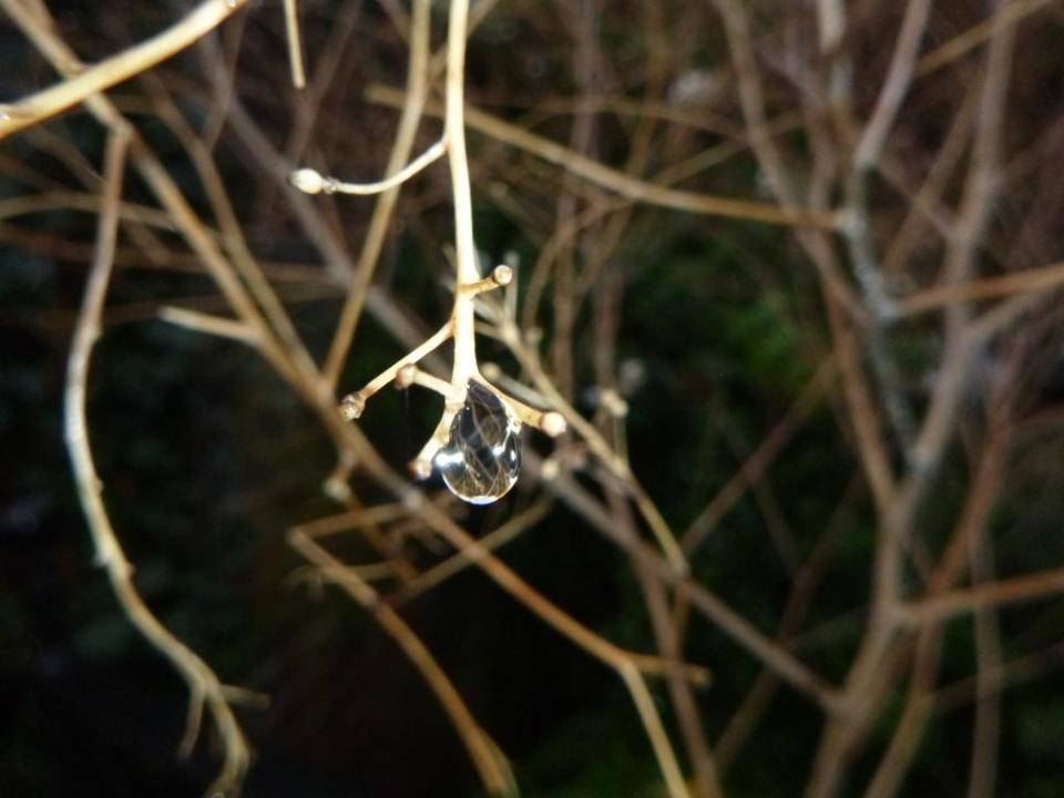 Emma's daughter took photos during lockdown in green spaces around London