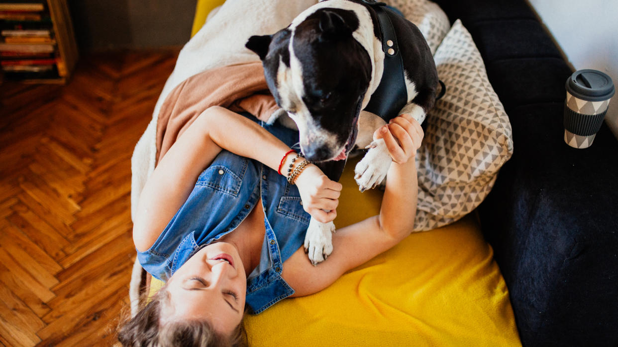  Woman lying on a couch pushes back dog jumping on top of her. 