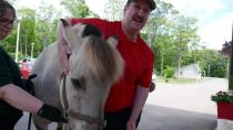 Billy the horse brings comfort to palliative care patients