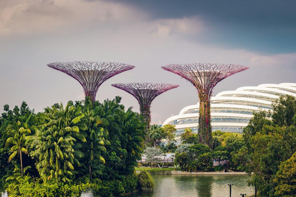 <p><a href="https://www.cntraveler.com/destinations/singapore?mbid=synd_yahoo_rss" rel="nofollow noopener" target="_blank" data-ylk="slk:Singapore;elm:context_link;itc:0;sec:content-canvas" class="link ">Singapore</a> is a city and a nation rolled into one on an island nearly the same size of New York City. As the third-most densely populated country in the world, well-designed transportation that can move millions is essential for this small nation.</p> <p>Singapore’s MRT (Mass Rapid Transit) currently has 6 lines with 140 stations and is scheduled to double in size by 2040. In a country of just over 5.5 million people, Singapore’s MRT carries an outstanding 3 million every day.</p> <p>The MRT’s trains are fast and predictable, running every 5 to 7 minutes most of the day and every 2 to 3 minutes during the morning rush. The MRT’s reach is complemented by the LRT, a light rail system with 2 lines and another 40 stops.</p> <p>With station signage and announcements in Singapore’s four official languages—English, Chinese, Malay, and Tamil—the MRT makes it remarkably easy to navigate without a car or a care. They have also installed protected walkways on every quarter-mile leading to every MRT station, making it easier to walk to transit, monsoon or shine.</p> <p><strong>How to experience it:</strong> Don’t miss Singapore’s breathtaking <a href="https://www.cntraveler.com/activities/singapore/gardens-by-the-bay?mbid=synd_yahoo_rss" rel="nofollow noopener" target="_blank" data-ylk="slk:Garden by the Bay;elm:context_link;itc:0;sec:content-canvas" class="link ">Garden by the Bay</a> located at the MRT station with the same name on the Thomson–East Coast Line.</p>