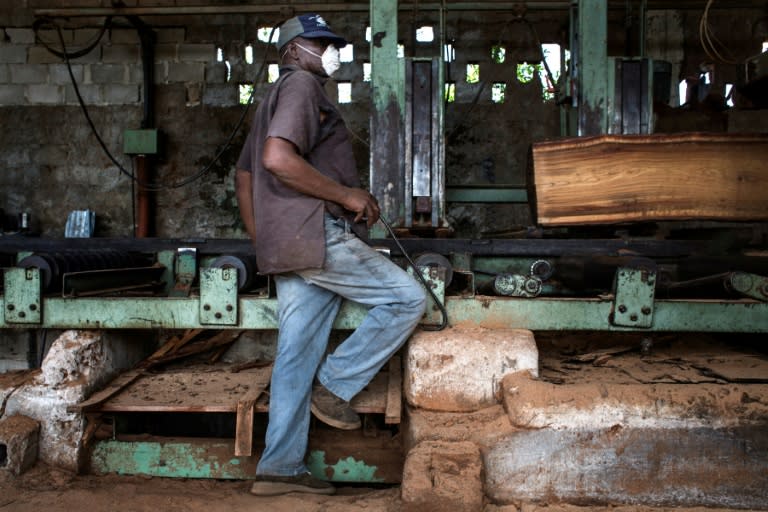 Mozambique's wood processing industry has embraced the new government measures to fight illegal logging, "as the processing of wood locally will create more jobs locally," said one sawmill owner