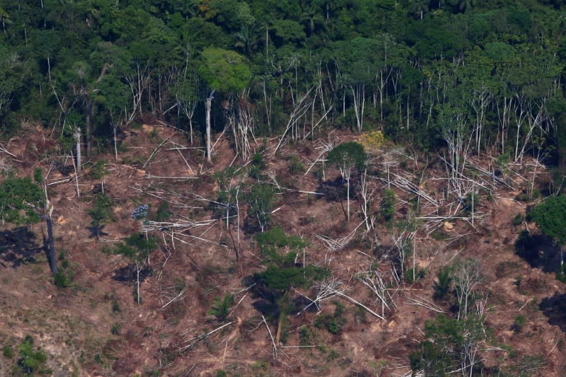 FILE PHOTO: A deforested and burnt plot is seen in Jamanxim National Forest in the Amazon, near Novo Progresso